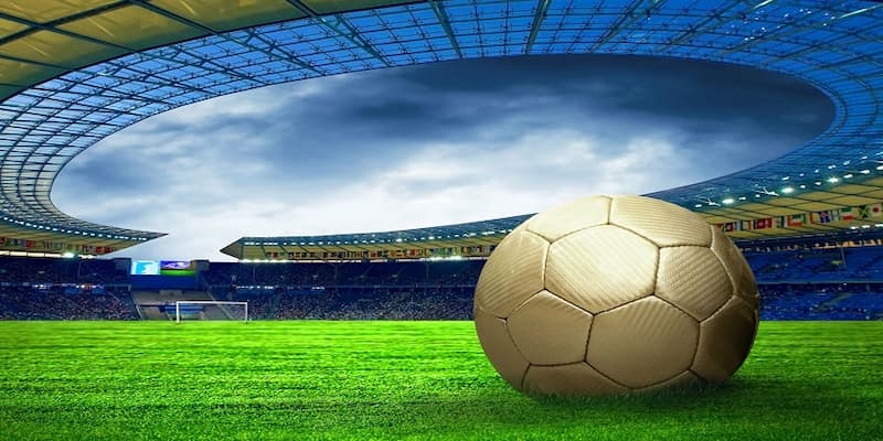 Nhận định bóng đá Nhận định bóng đá vai trò cá cược