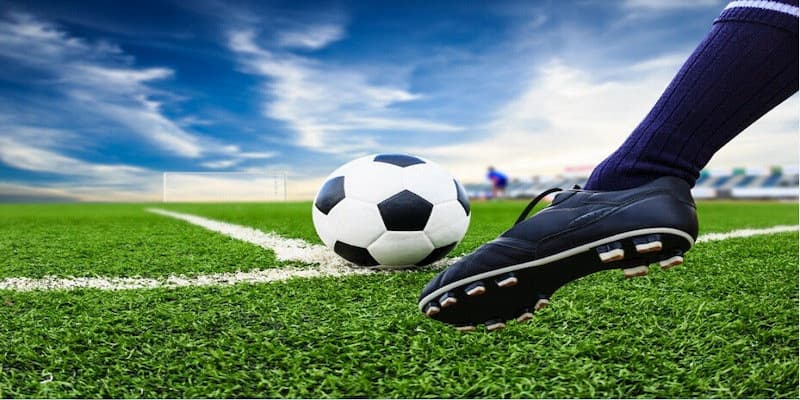 Cá độ bóng đá cho người mới Cá độ bóng đá cho người mới về bước chuẩn bị